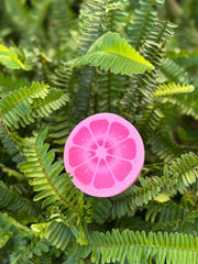 Pink Facial Scrubber