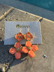 Coral Glow