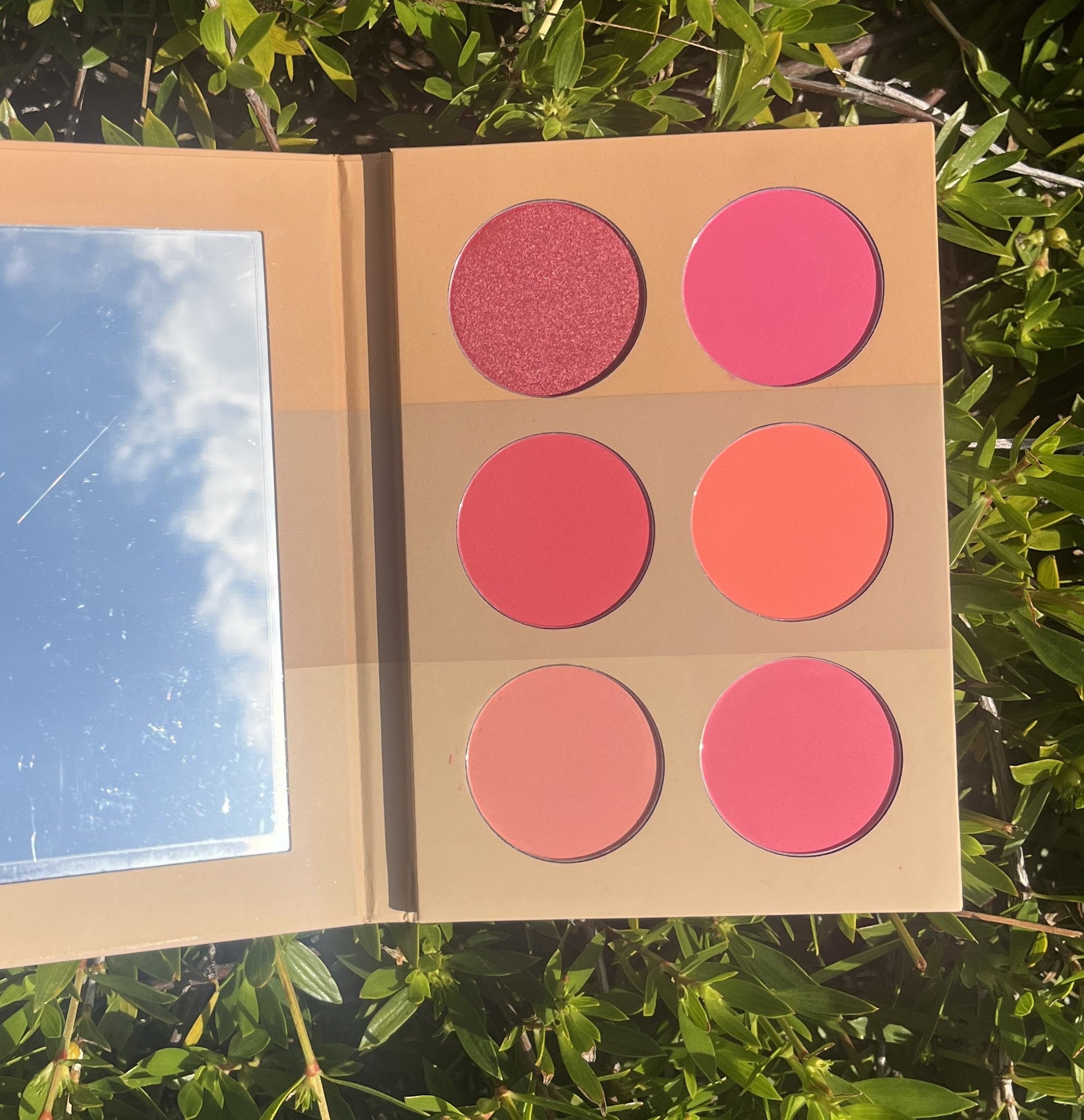 Escape Blush Palette