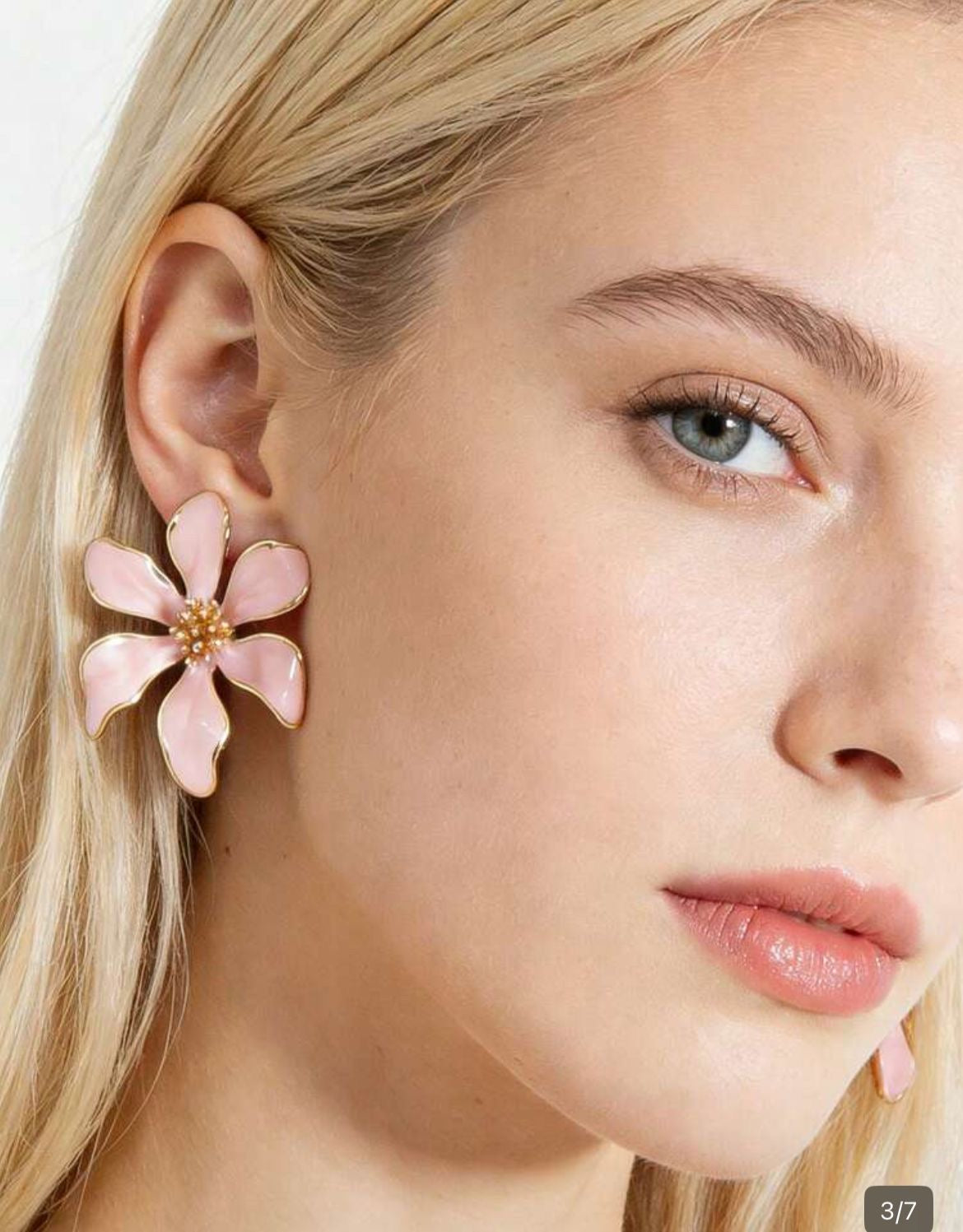 Briland Hibiscus